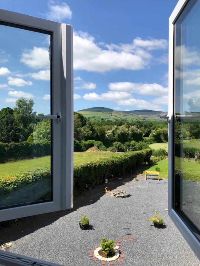 B&B & Cottage Rental In Bunclody - Mon Petit Cottage Exterior photo