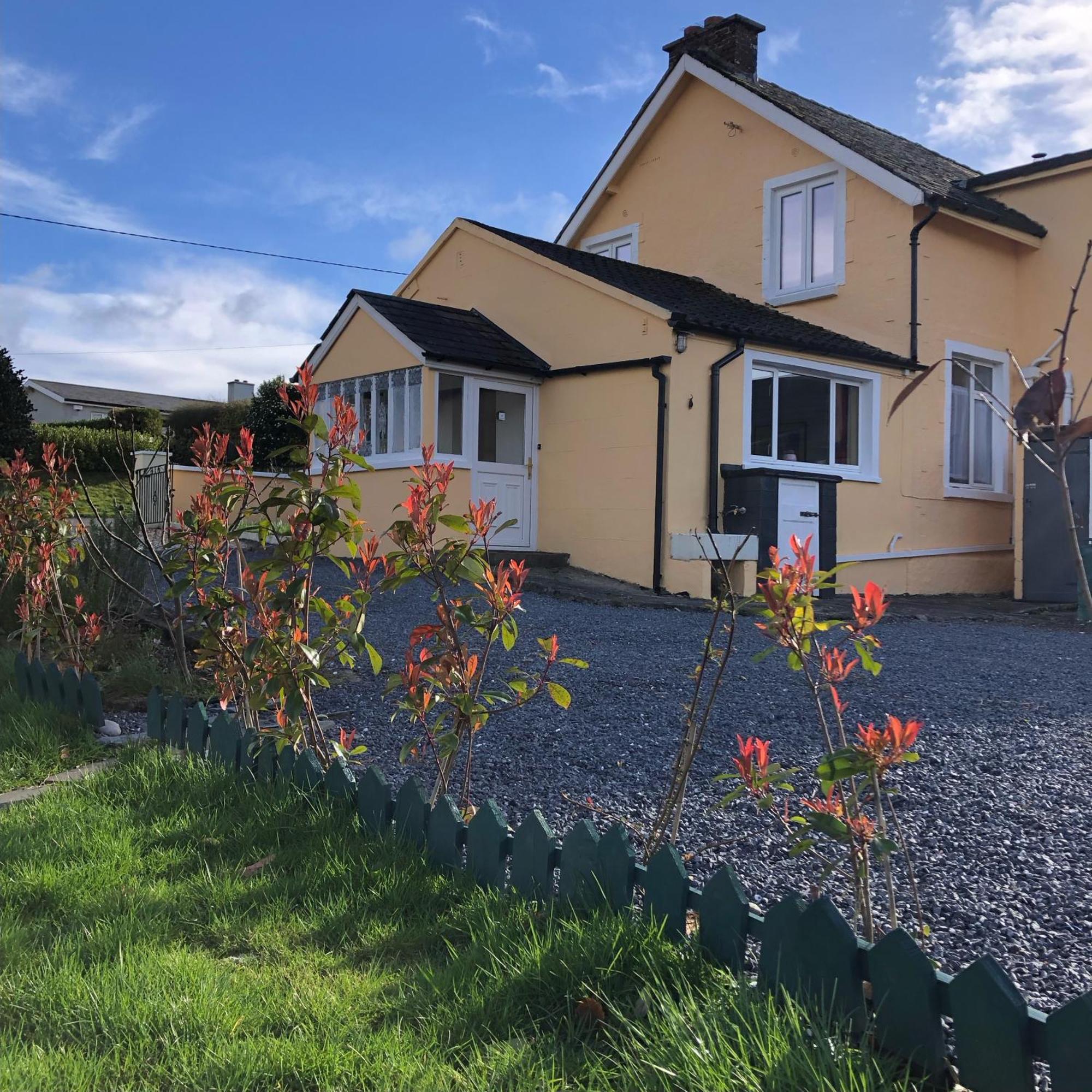 B&B & Cottage Rental In Bunclody - Mon Petit Cottage Exterior photo